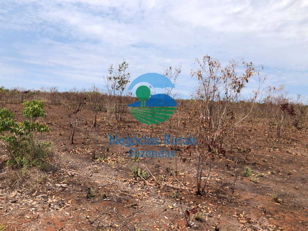 Farm of 2,535 acres in Jaú do Tocantins, TO, Brazil