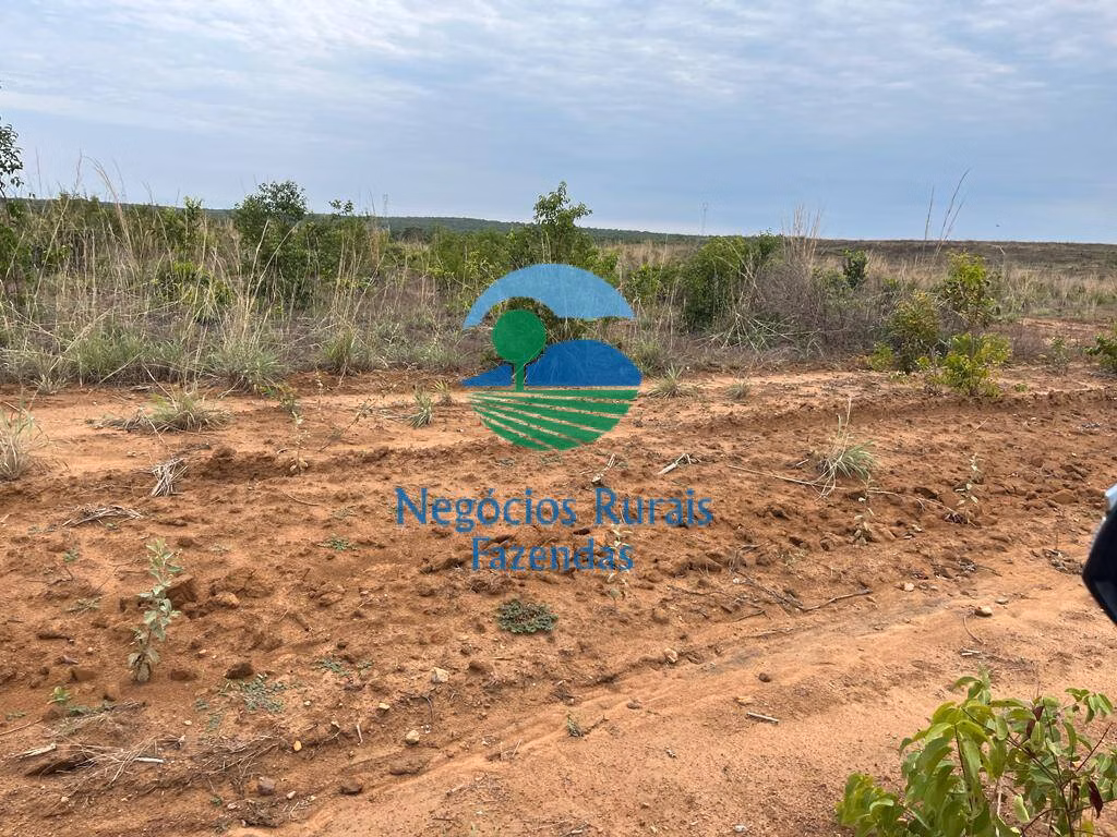 Farm of 2,535 acres in Jaú do Tocantins, TO, Brazil