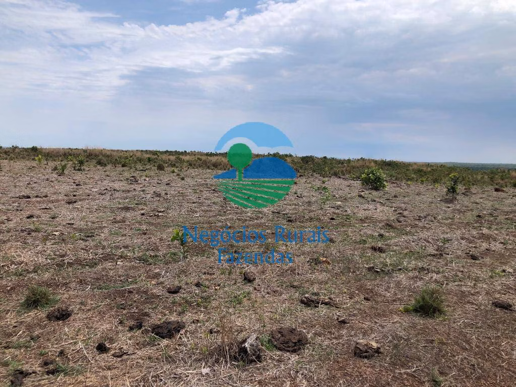 Farm of 2,535 acres in Jaú do Tocantins, TO, Brazil