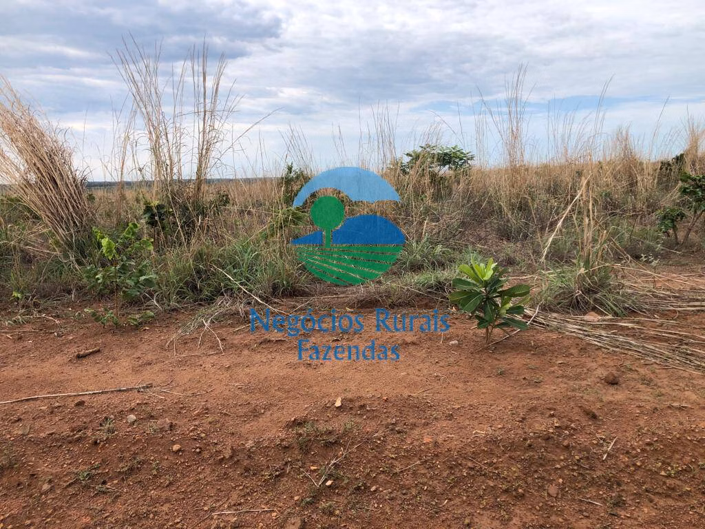 Farm of 2,535 acres in Jaú do Tocantins, TO, Brazil