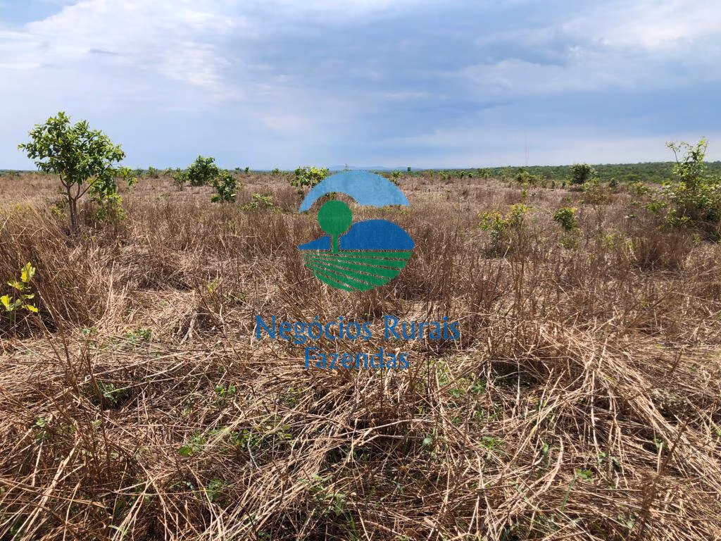 Farm of 2,535 acres in Jaú do Tocantins, TO, Brazil
