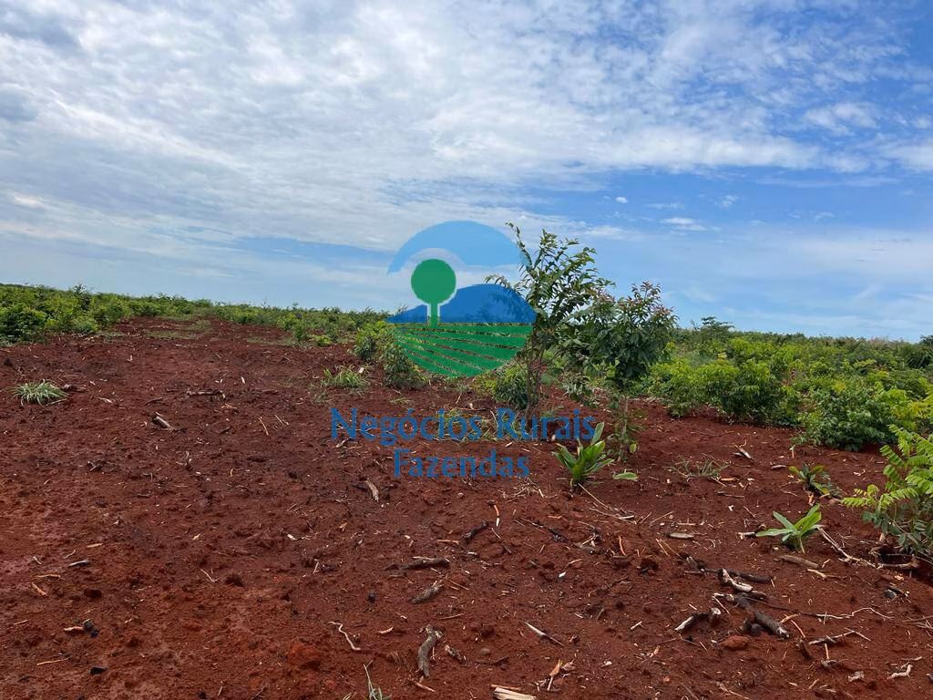 Farm of 2,535 acres in Jaú do Tocantins, TO, Brazil
