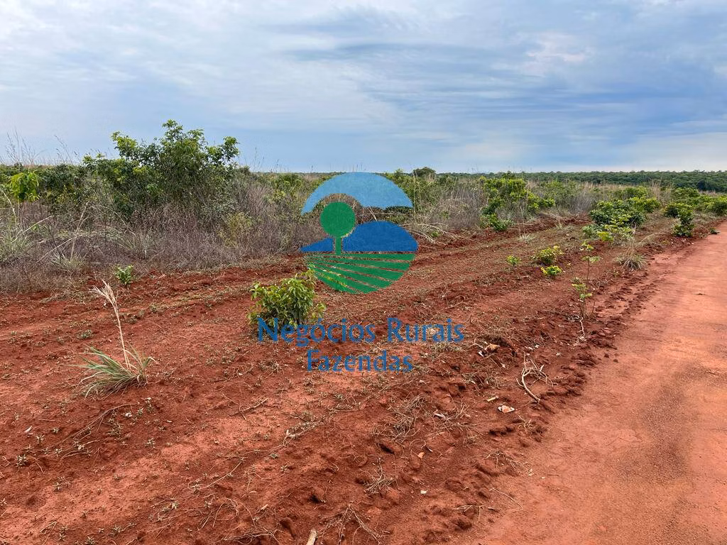 Farm of 2,535 acres in Jaú do Tocantins, TO, Brazil