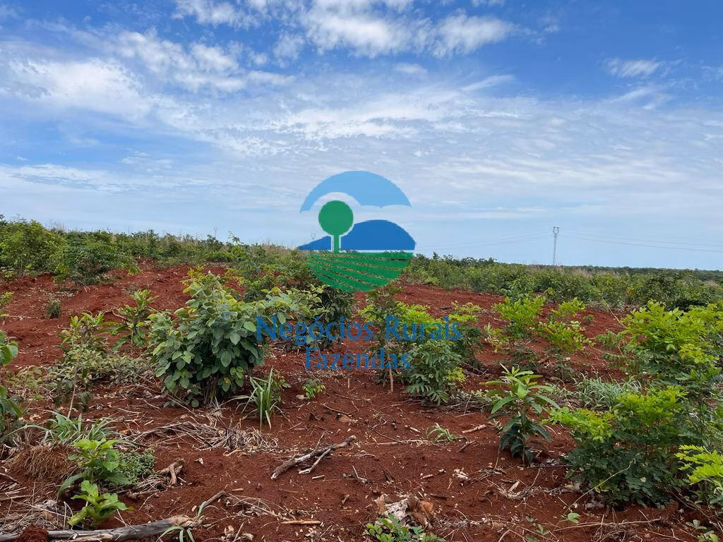 Farm of 2,535 acres in Jaú do Tocantins, TO, Brazil