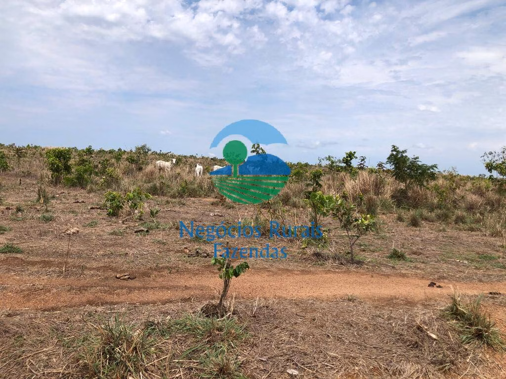 Farm of 2,535 acres in Jaú do Tocantins, TO, Brazil
