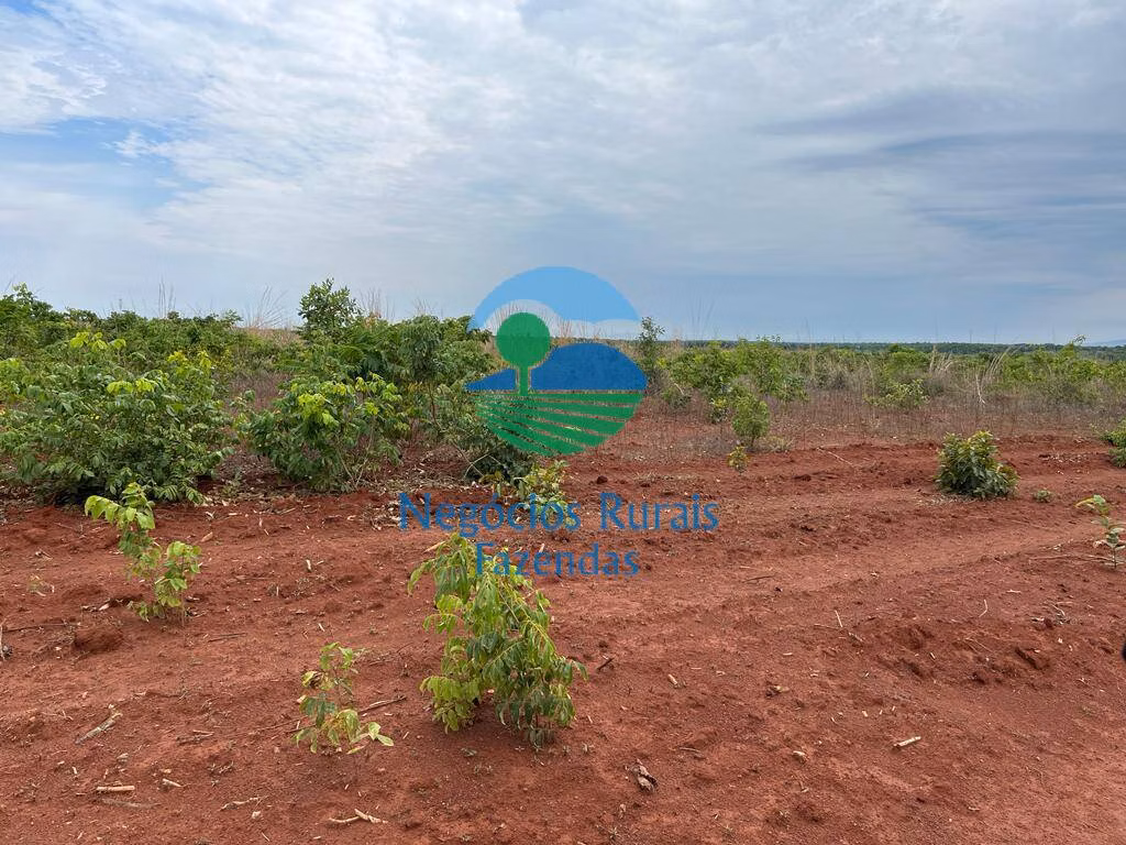 Farm of 2,535 acres in Jaú do Tocantins, TO, Brazil