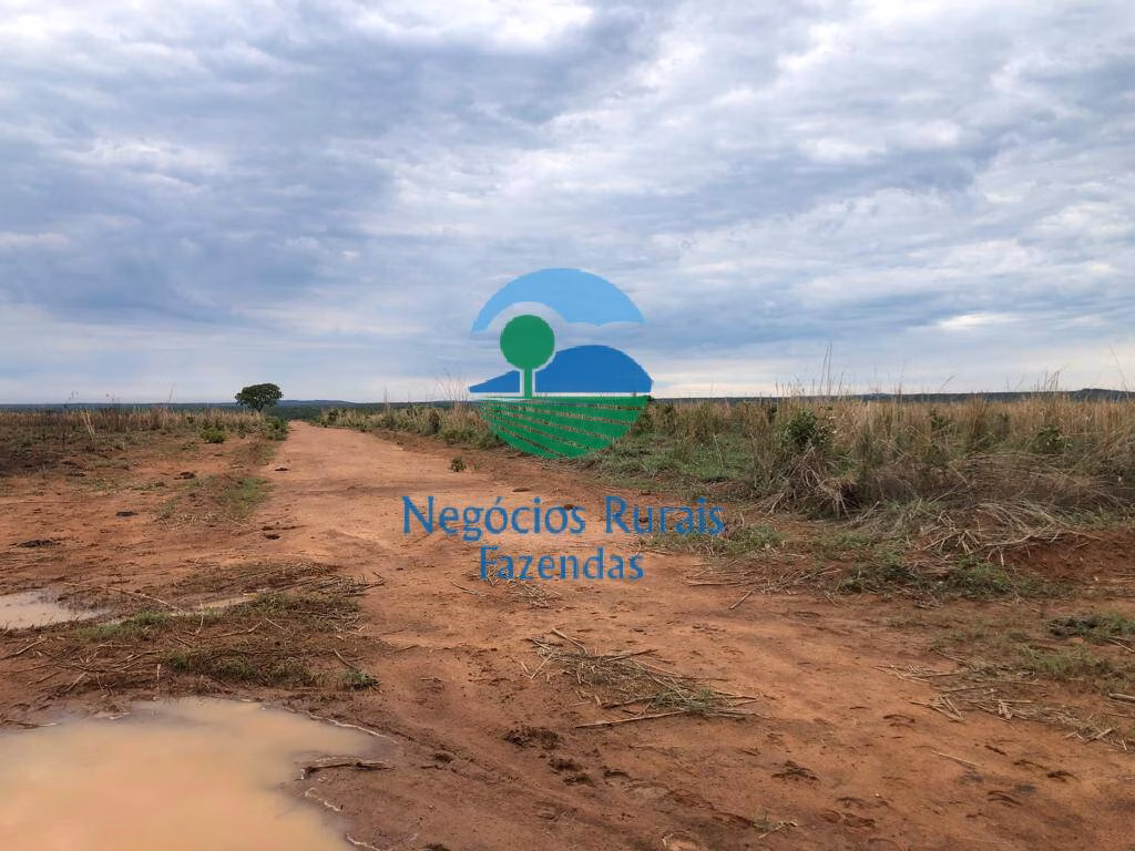 Farm of 2,535 acres in Jaú do Tocantins, TO, Brazil