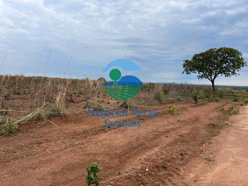 Farm of 2,535 acres in Jaú do Tocantins, TO, Brazil