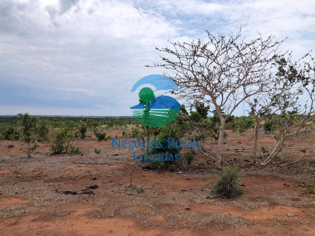 Farm of 2,535 acres in Jaú do Tocantins, TO, Brazil