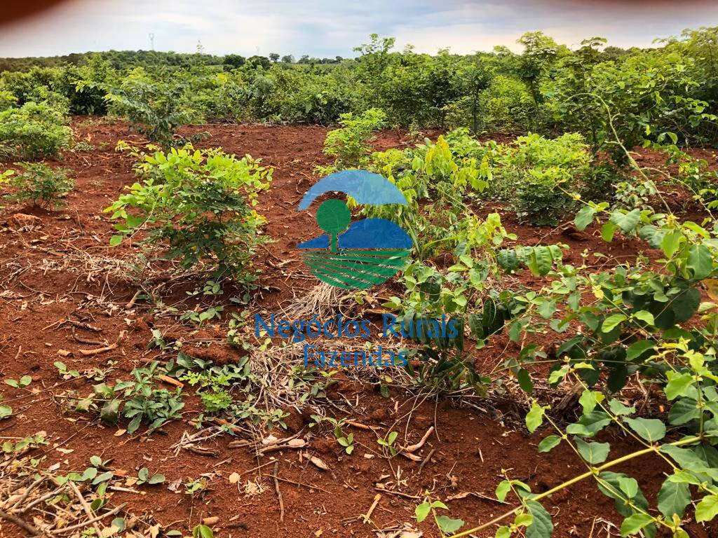 Farm of 2,535 acres in Jaú do Tocantins, TO, Brazil