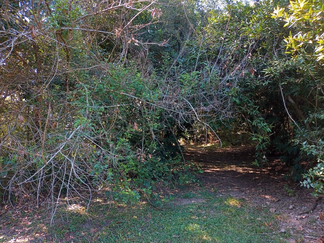 Country home of 6 acres in Campinas, SP, Brazil
