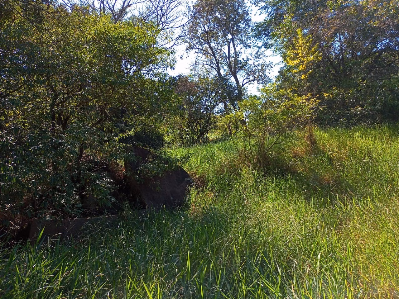 Country home of 6 acres in Campinas, SP, Brazil