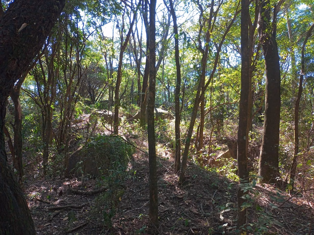 Country home of 6 acres in Campinas, SP, Brazil