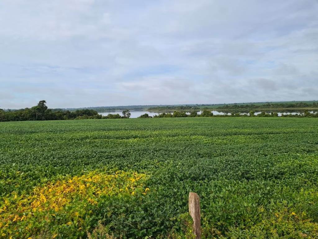 Fazenda de 17.125 ha em Araguaína, TO