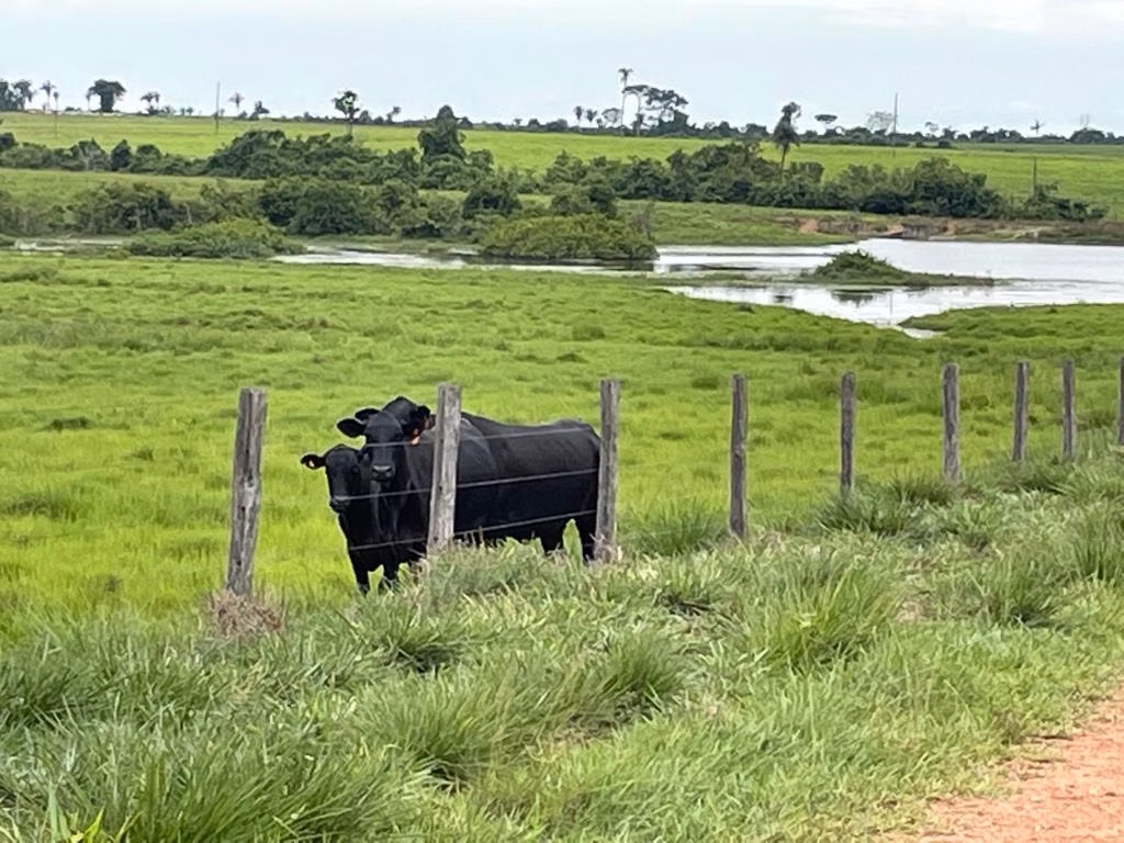 Fazenda de 17.125 ha em Araguaína, TO