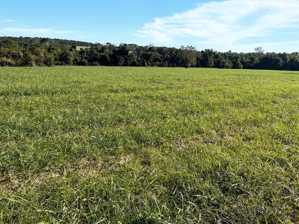 Fazenda de 17.125 ha em Araguaína, TO