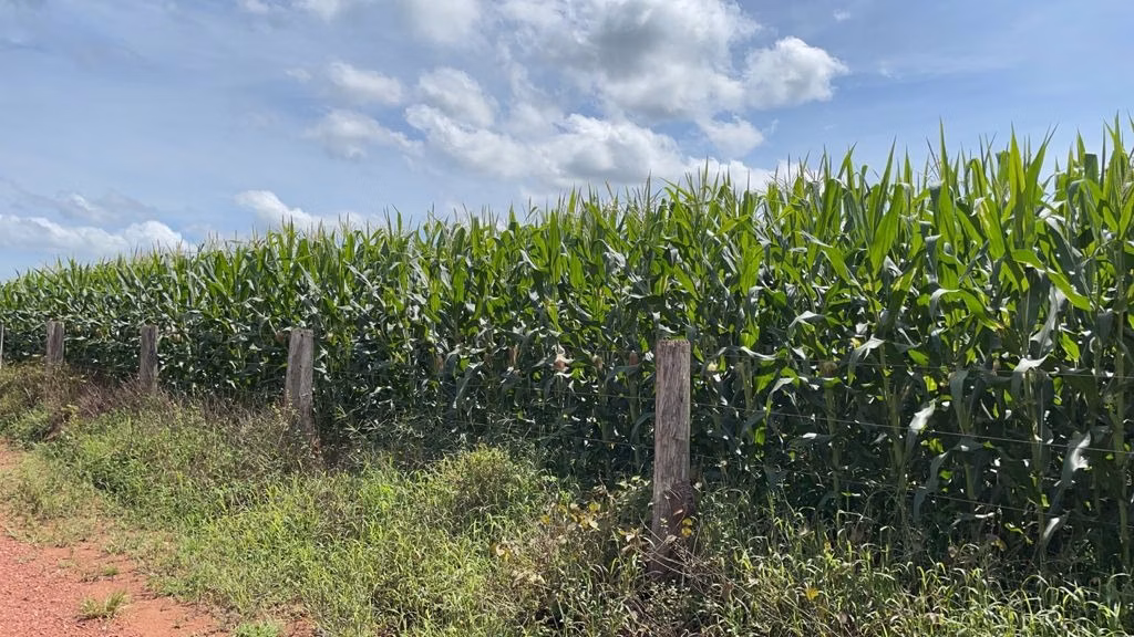 Fazenda de 17.125 ha em Araguaína, TO