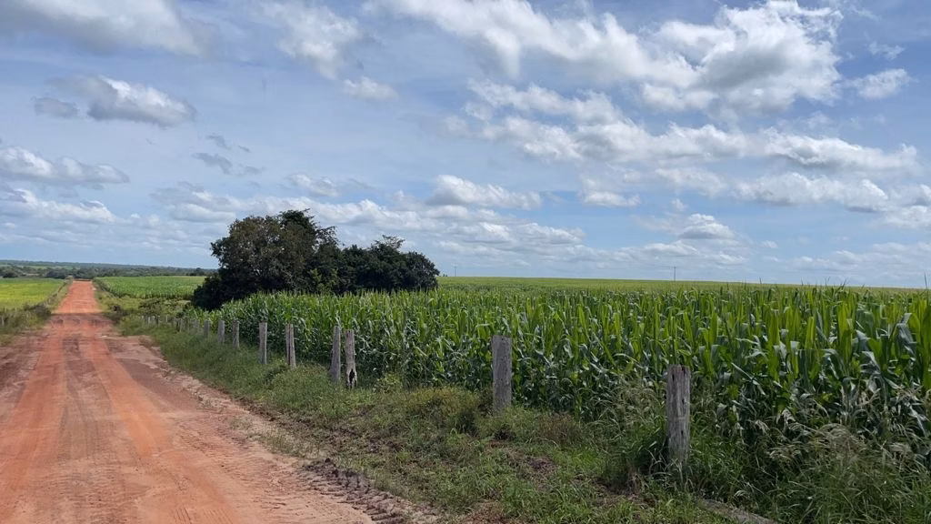 Fazenda de 17.125 ha em Araguaína, TO