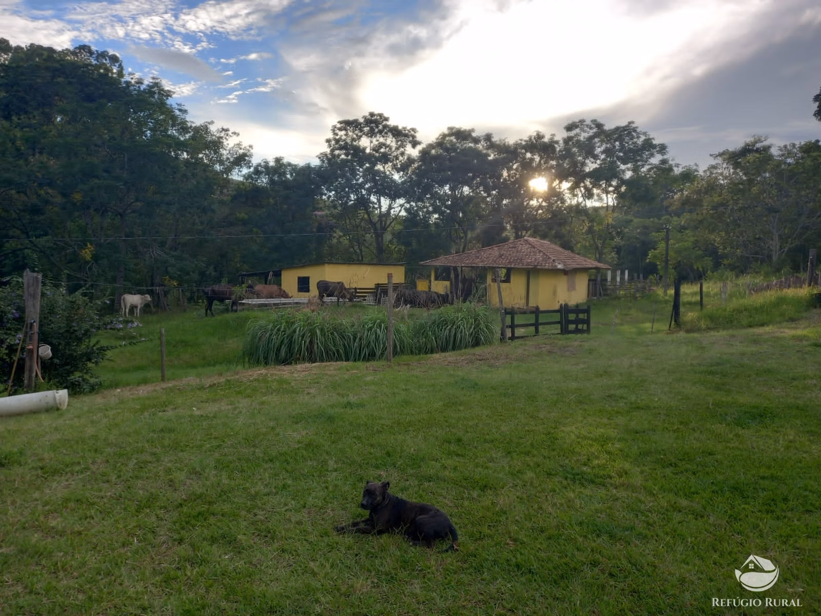Fazenda de 145 ha em Lorena, SP