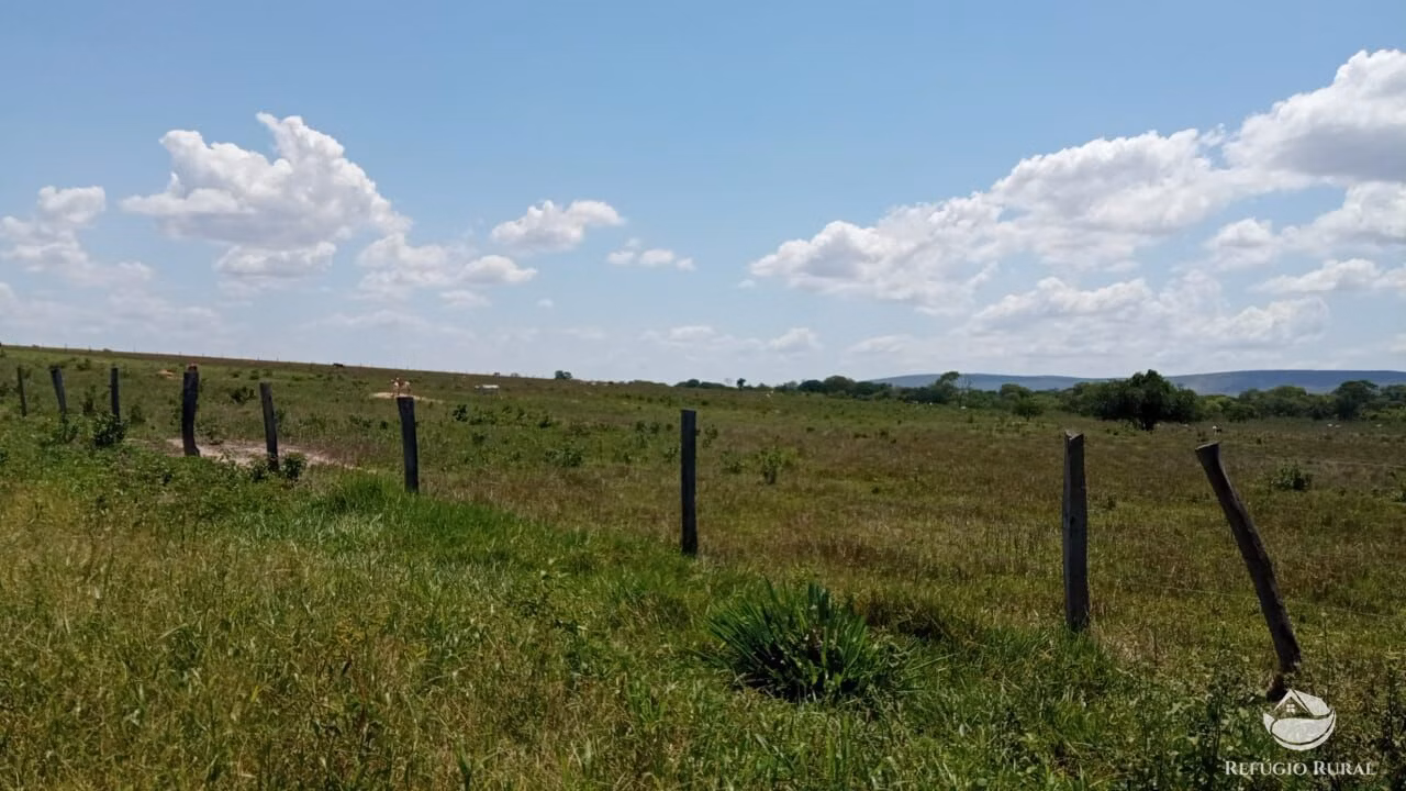 Fazenda de 560 ha em João Pinheiro, MG