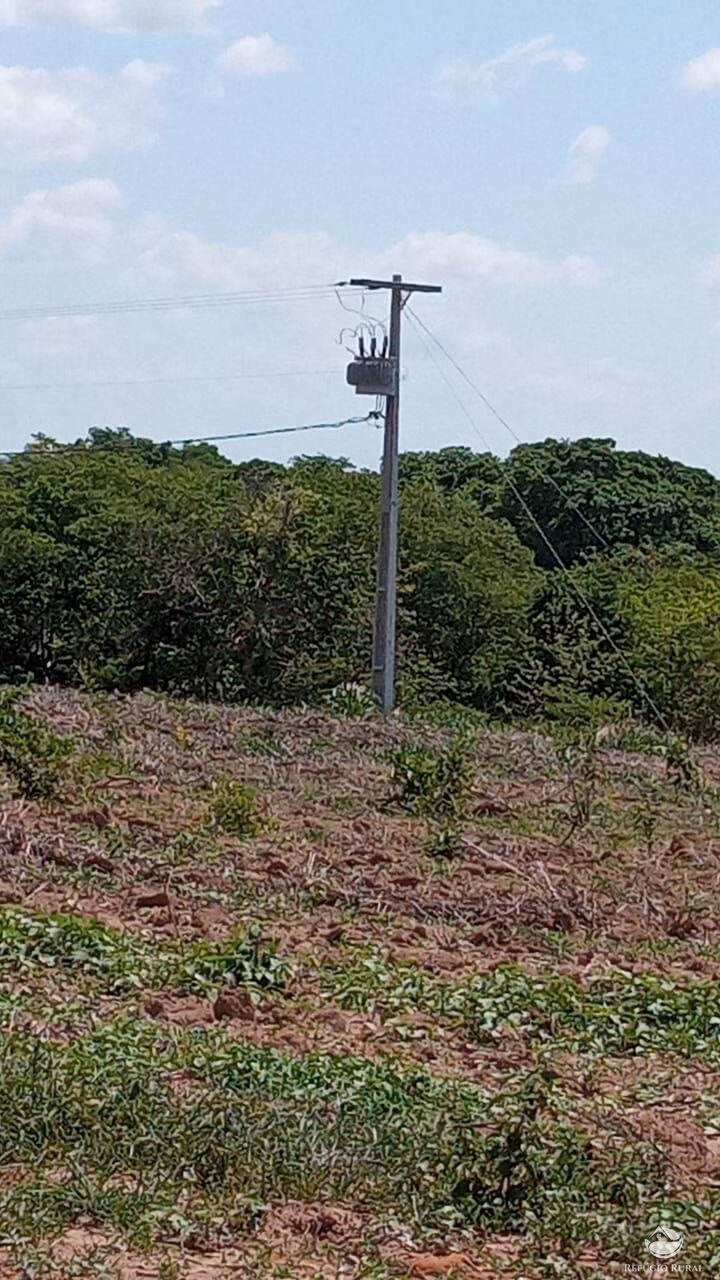 Fazenda de 560 ha em João Pinheiro, MG