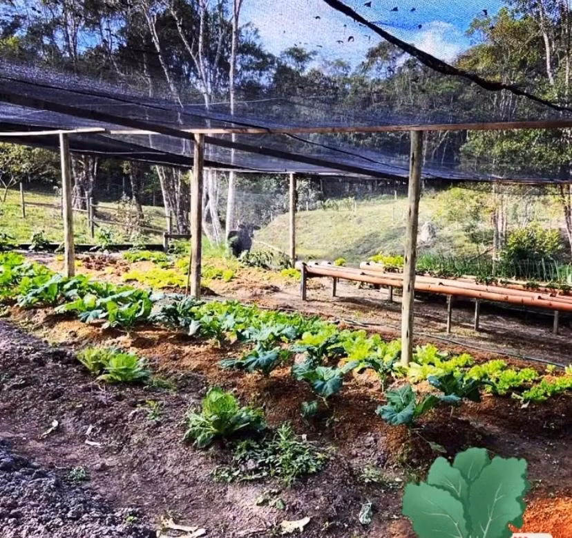 Small farm of 12 acres in Natividade da Serra, SP, Brazil