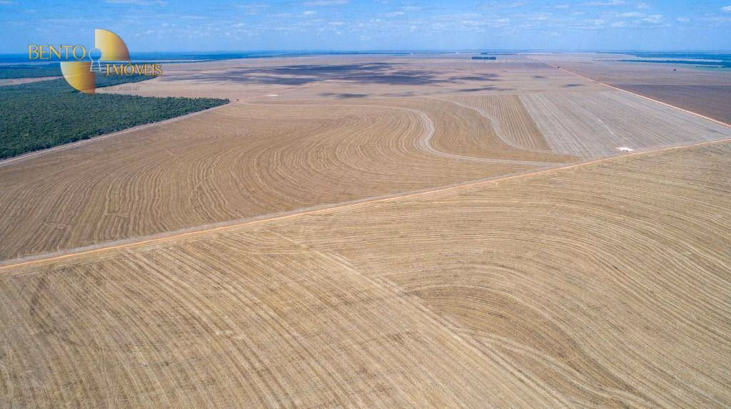 Fazenda de 5.000 ha em Campo Novo do Parecis, MT