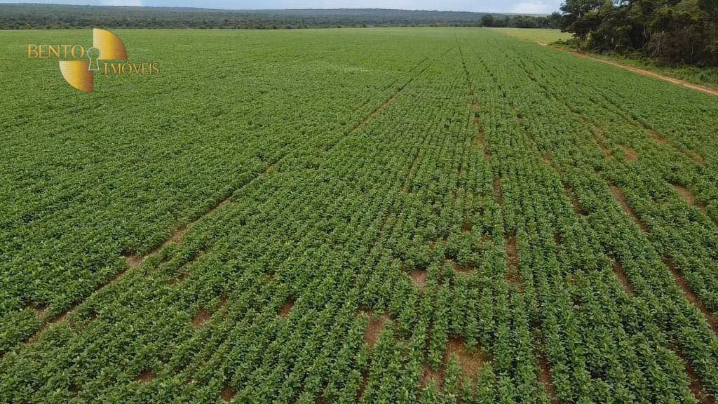 Fazenda de 200 ha em Nova Mutum, MT
