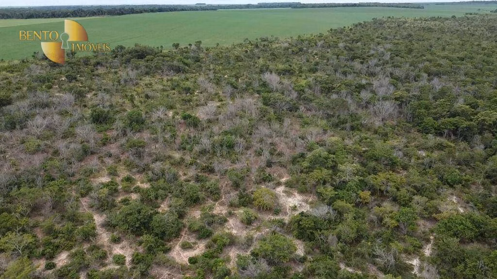 Fazenda de 200 ha em Nova Mutum, MT
