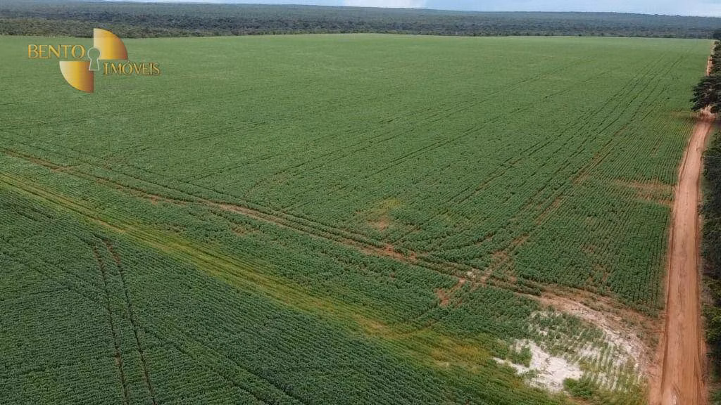 Fazenda de 200 ha em Nova Mutum, MT