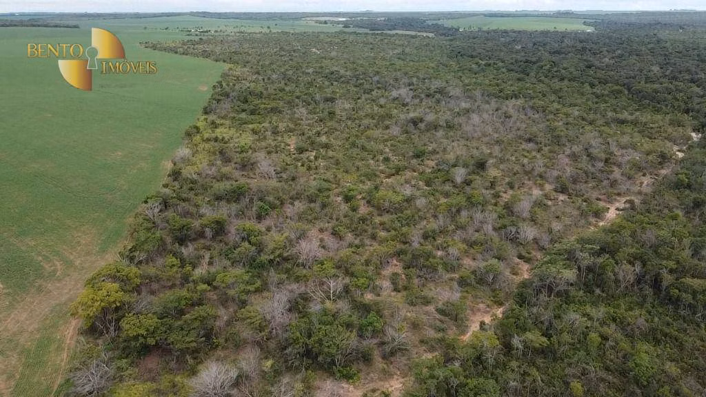 Fazenda de 200 ha em Nova Mutum, MT