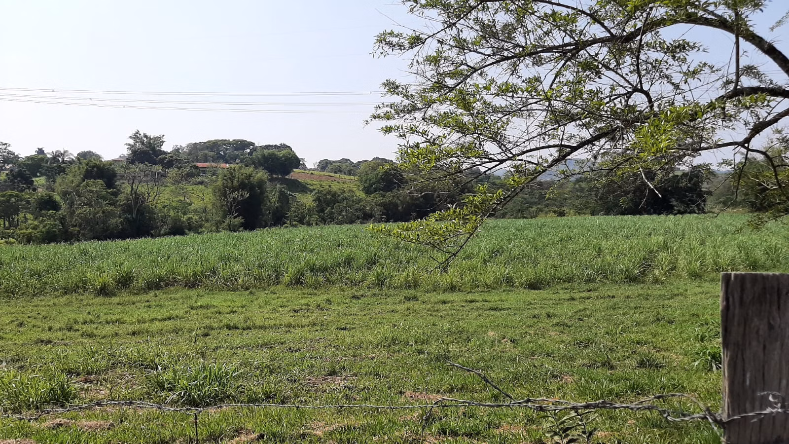 Chácara de 2 ha em Caçapava, SP