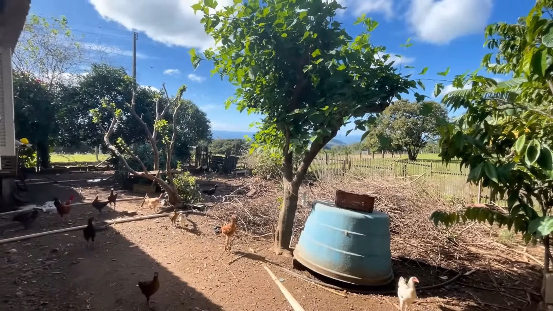 Chácara de 1.500 m² em Taquara, RS