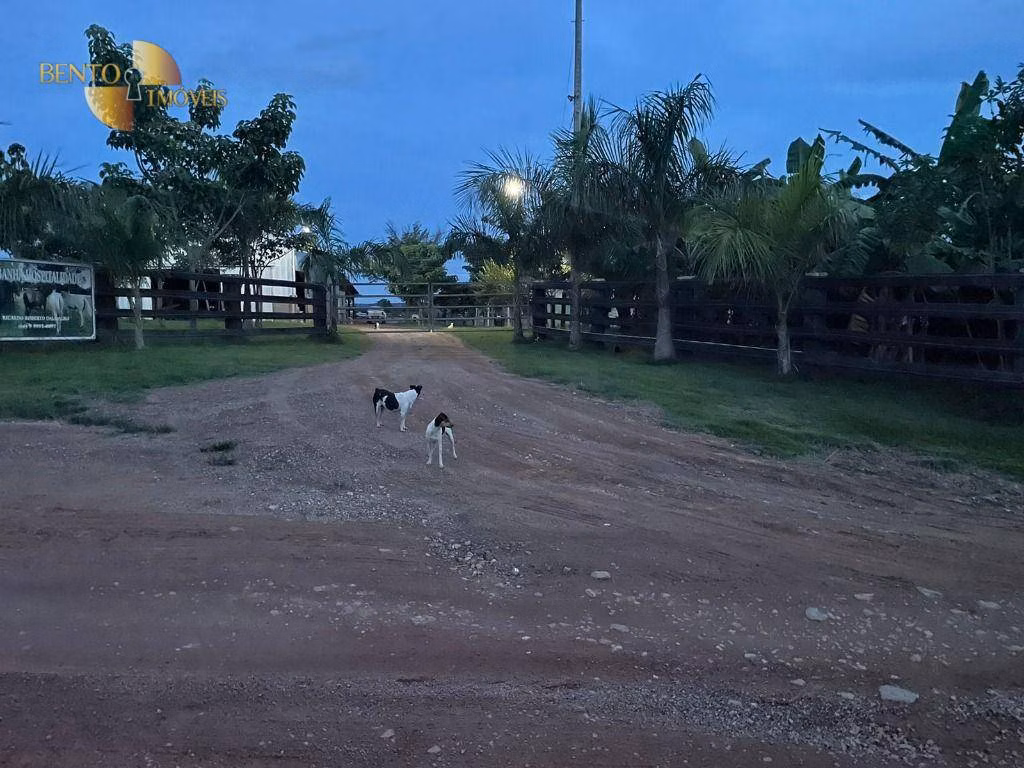 Fazenda de 101 ha em Terra Nova do Norte, MT