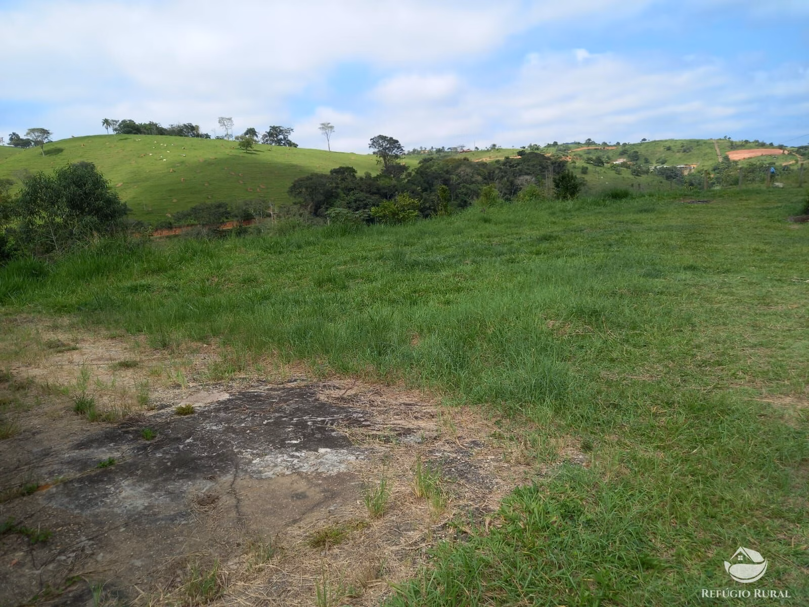 Small farm of 31 acres in São José dos Campos, SP, Brazil