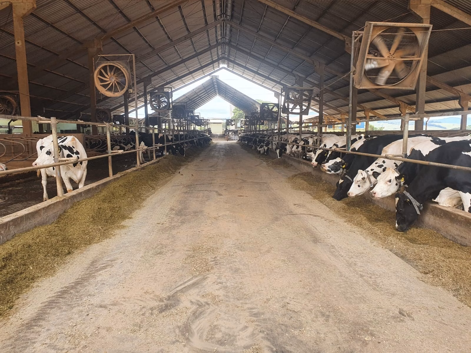 Fazenda de 160 ha em Carmo de Minas, MG