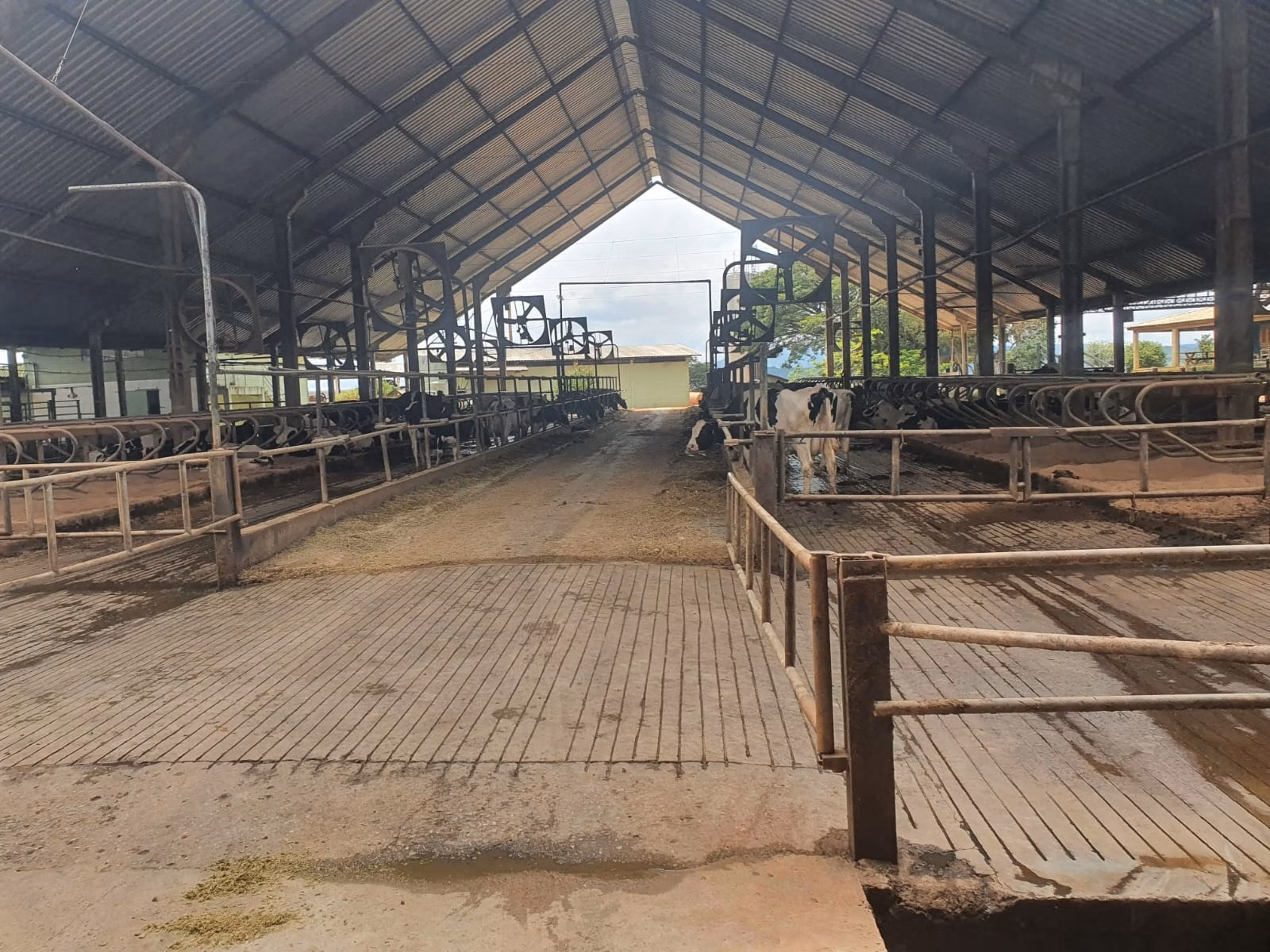 Fazenda de 160 ha em Carmo de Minas, MG