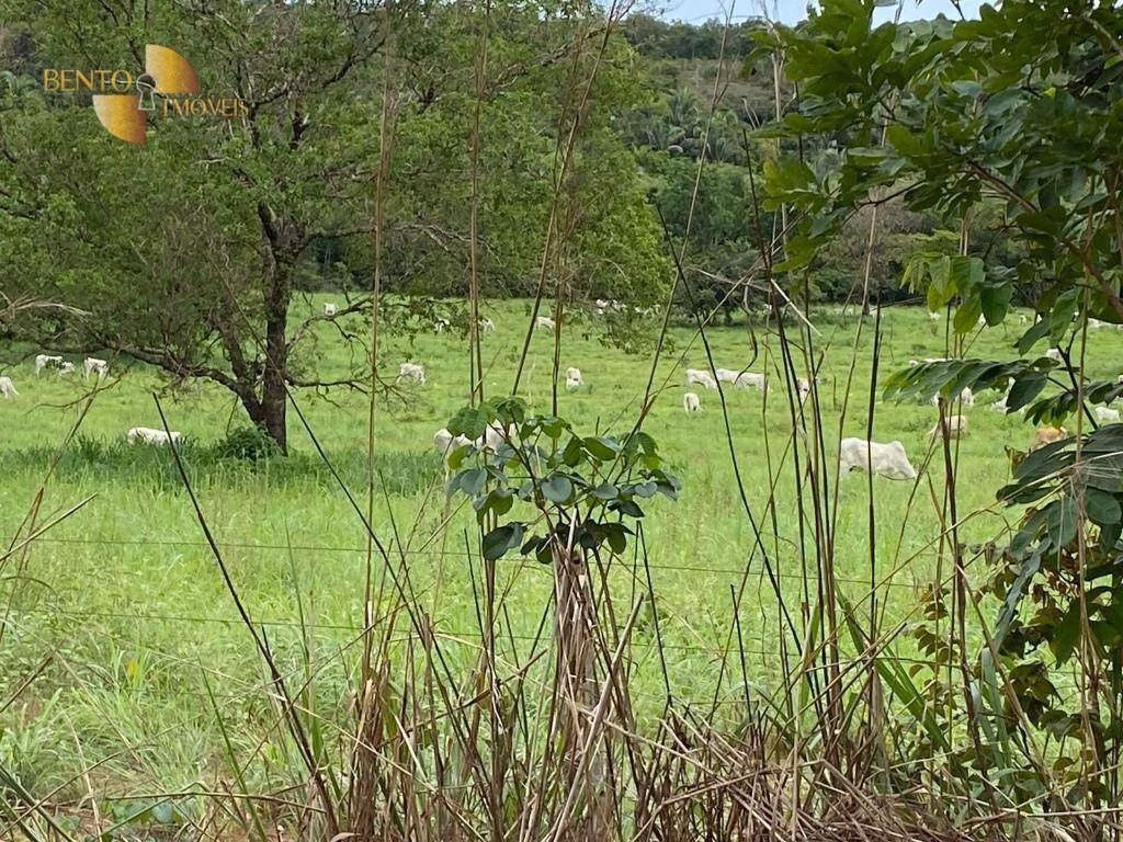 Fazenda de 852 ha em Chapada dos Guimarães, MT