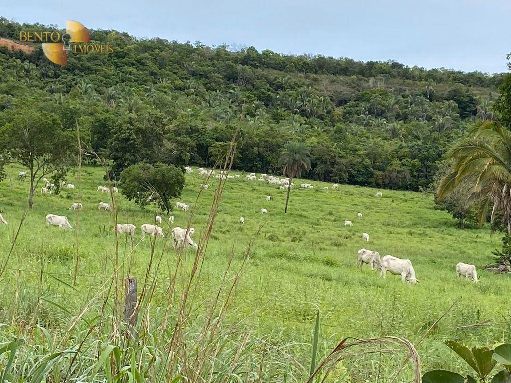 Fazenda de 852 ha em Chapada dos Guimarães, MT
