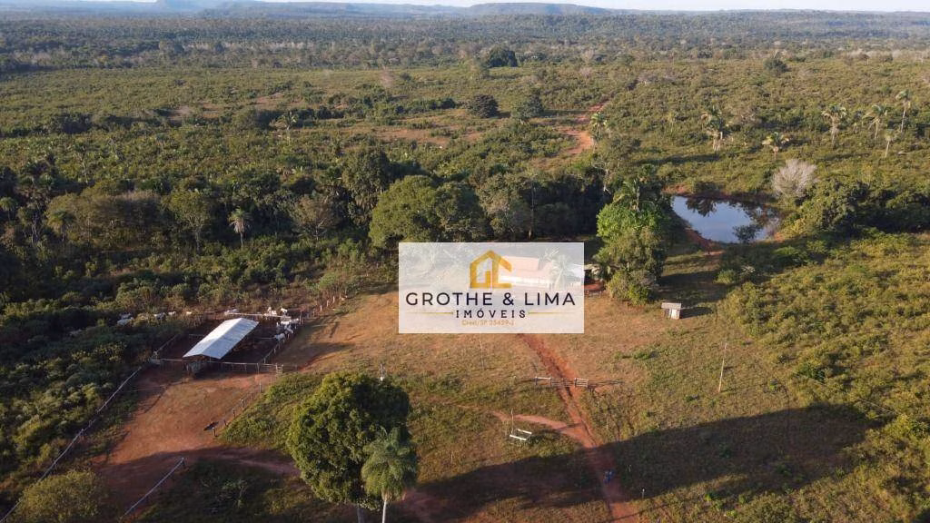 Fazenda de 629 ha em Araguaína, TO