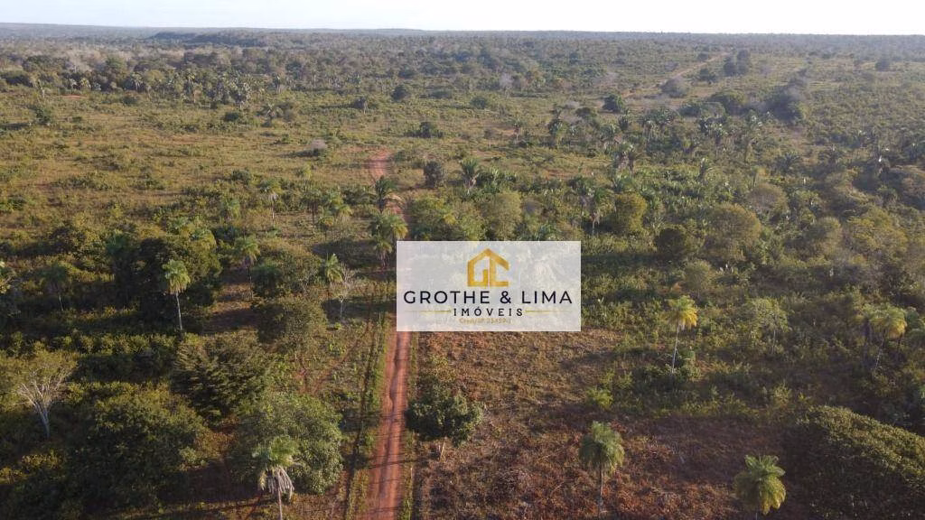 Fazenda de 629 ha em Araguaína, TO