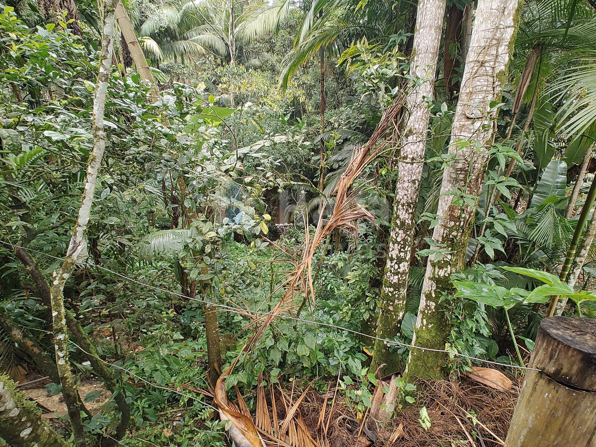 Farm of 2,000 m² in Gaspar, SC, Brazil