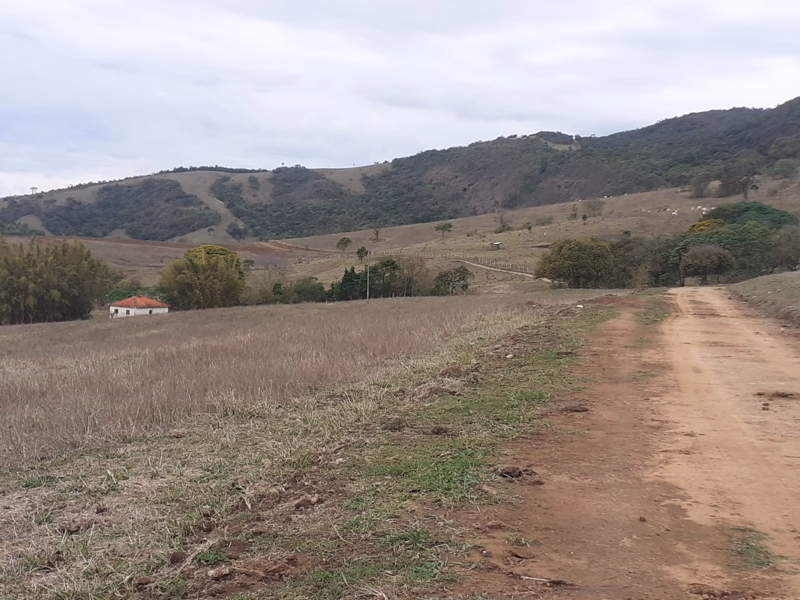 Fazenda de 460 ha em Pouso Alegre, MG