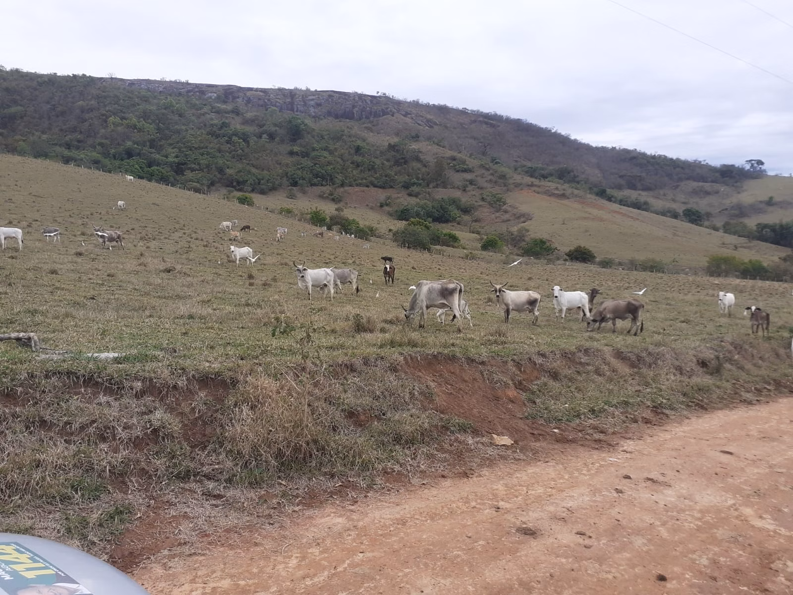 Farm of 1.136 acres in Pouso Alegre, MG, Brazil