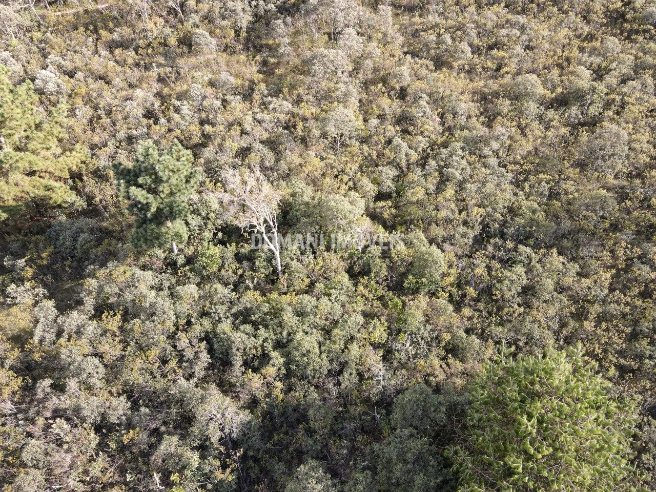 Plot of 1,010 m² in Campos do Jordão, SP, Brazil