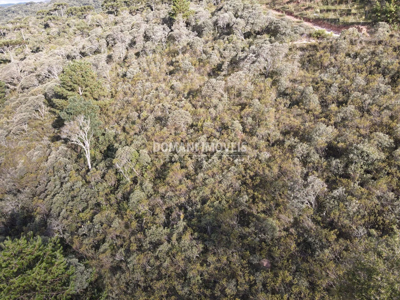 Plot of 1,010 m² in Campos do Jordão, SP, Brazil