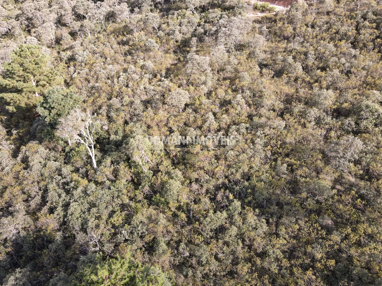Plot of 1,010 m² in Campos do Jordão, SP, Brazil