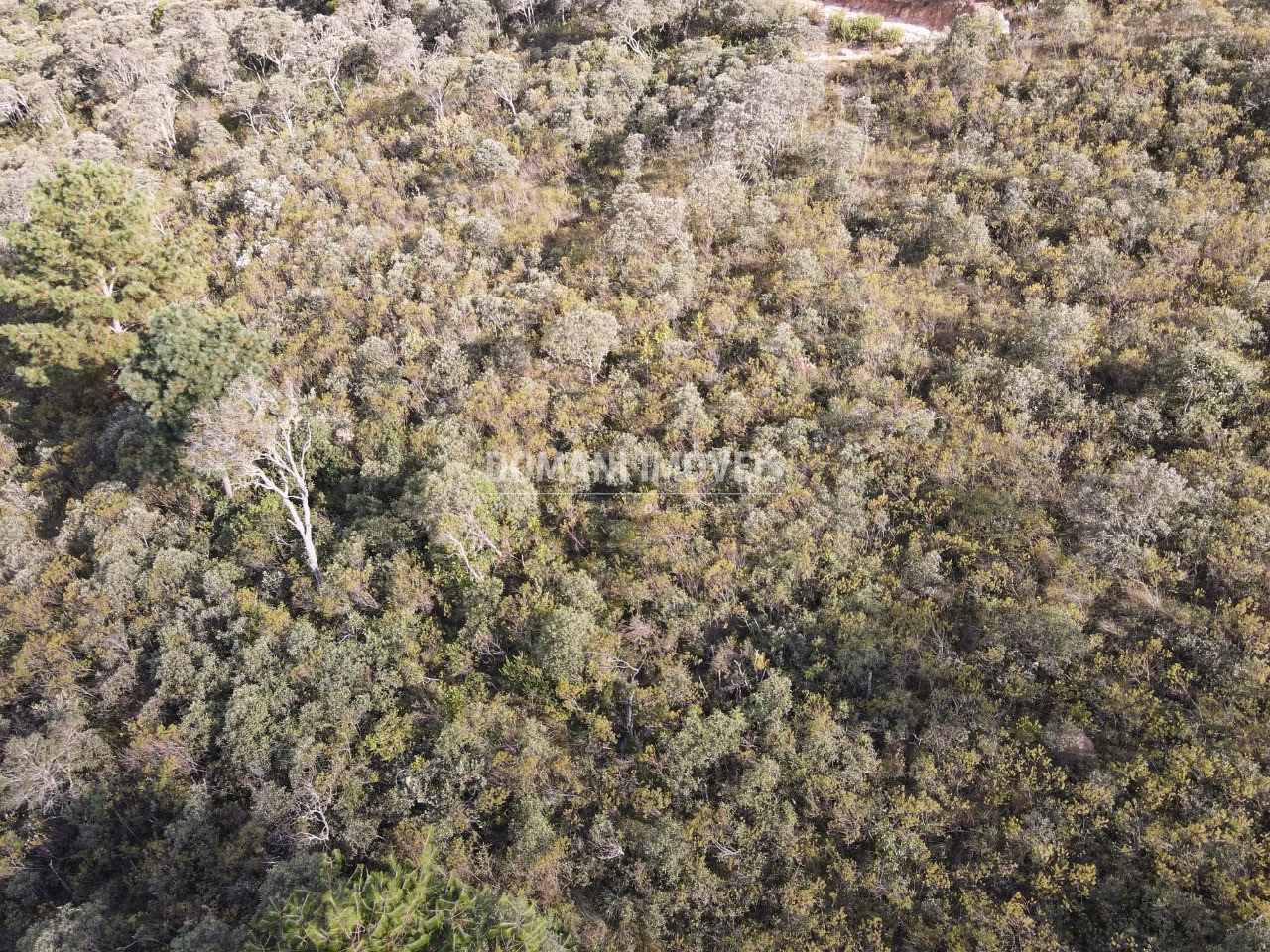 Terreno de 1.010 m² em Campos do Jordão, SP