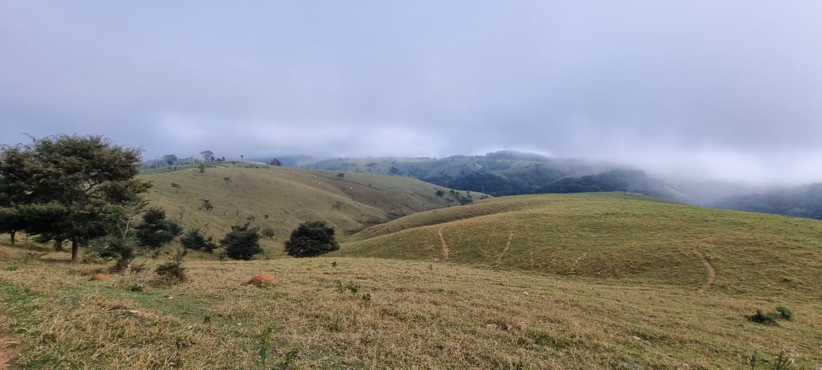 Fazenda de 392 ha em Capão Bonito, SP