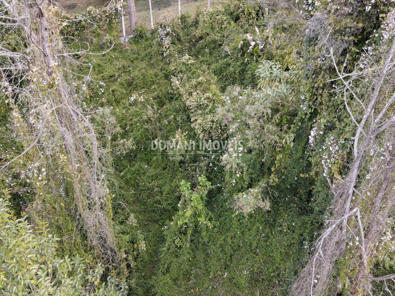 Plot of 725 m² in Campos do Jordão, SP, Brazil
